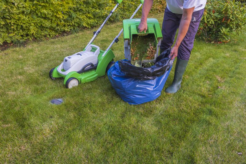 Lawn Recovery