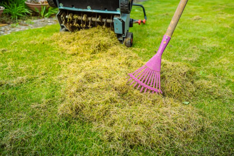 Spring Lawn Dethatching