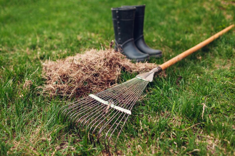 Fall Lawn Dethatching