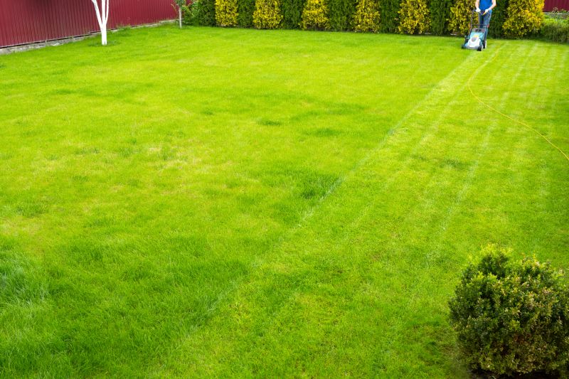 Timely Lawn Maintenance