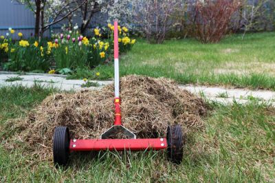 Promote Healthier Grass!
