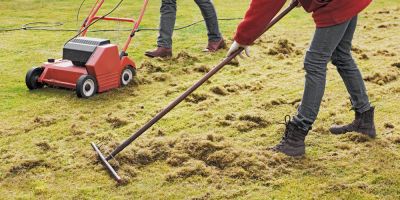Remove Debris and Dead Roots!